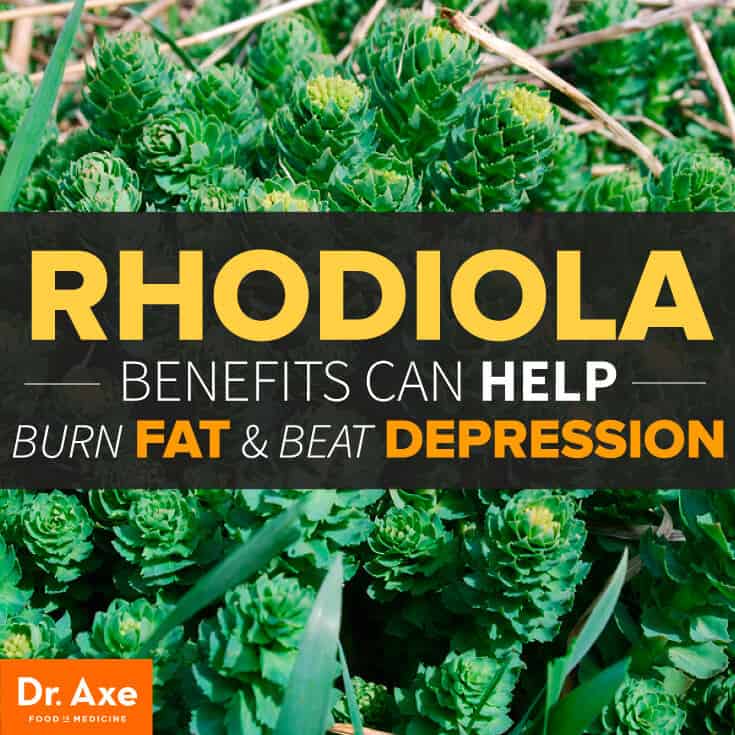 Pre workout egg recipes, fat burning benefits of coffee, the best all