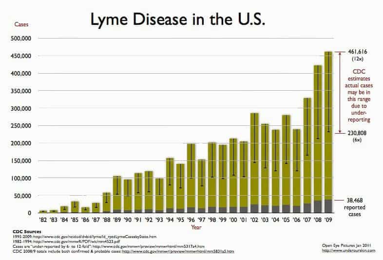 Natural Strategies for Lyme Disease Janie Garber Health Coach
