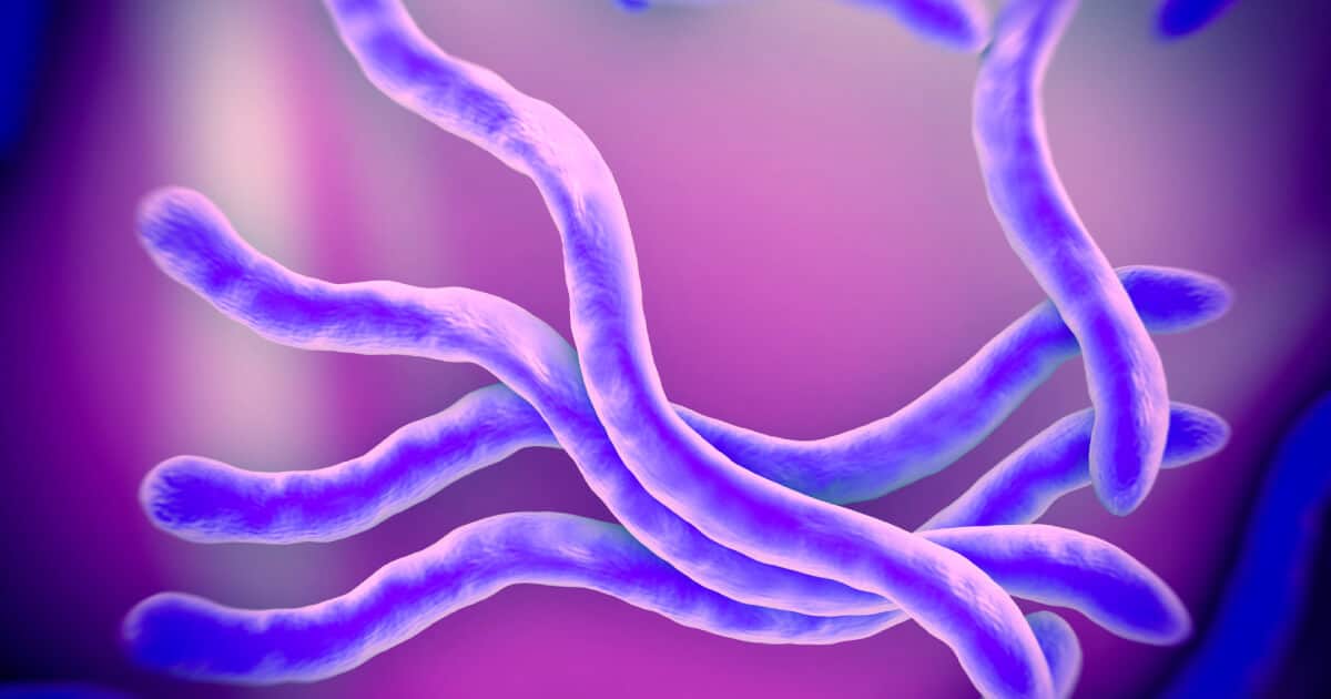 Parasite Cleanse Getting Rid of Parasites the Natural Way Dr. Axe