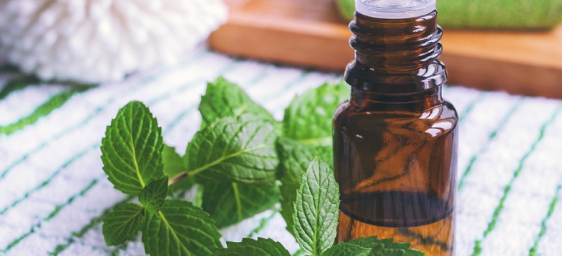 Top 25 Peppermint Oil Uses and Benefits Dr. Axe