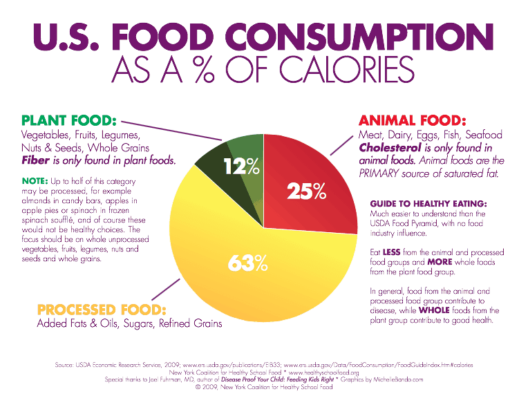 9 Charts That Show the Standard American Diet