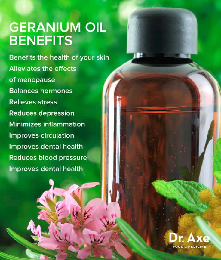10 Geranium Oil Benefits for Healthy Skin and More Dr. Axe