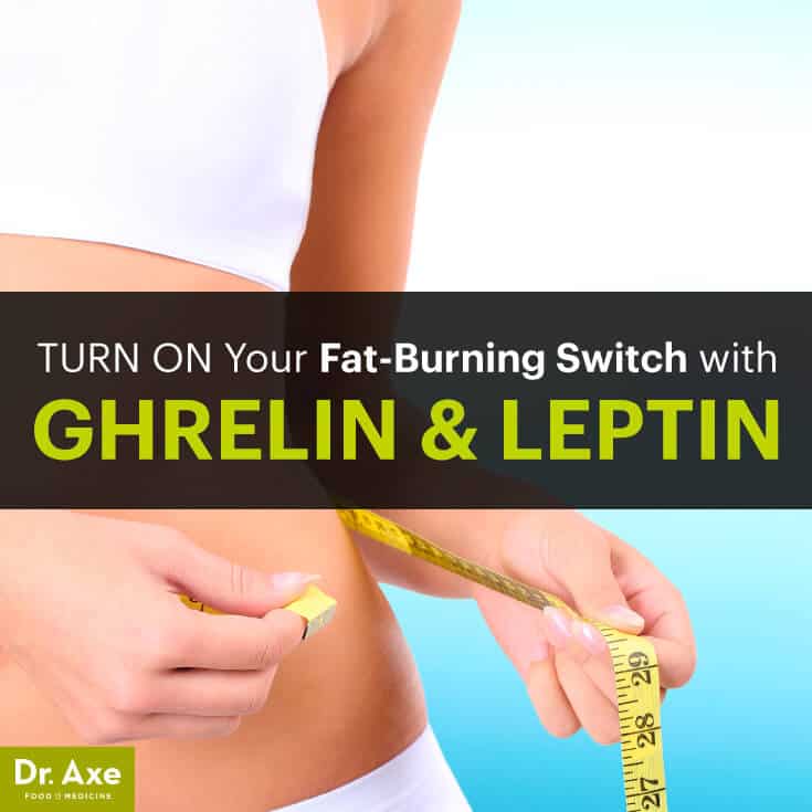 Turn On Your Fat Burning Switch with Ghrelin & Leptin Dr. Axe