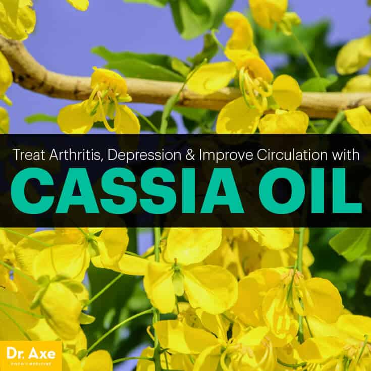 Cassia Oil Improves Circulation, Arthritis & Depression Dr. Axe