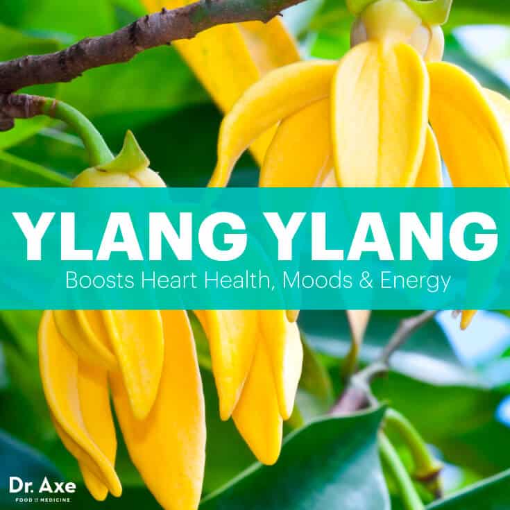 Ylang Ylang Boosts Heart Health, Moods & Energy Dr. Axe