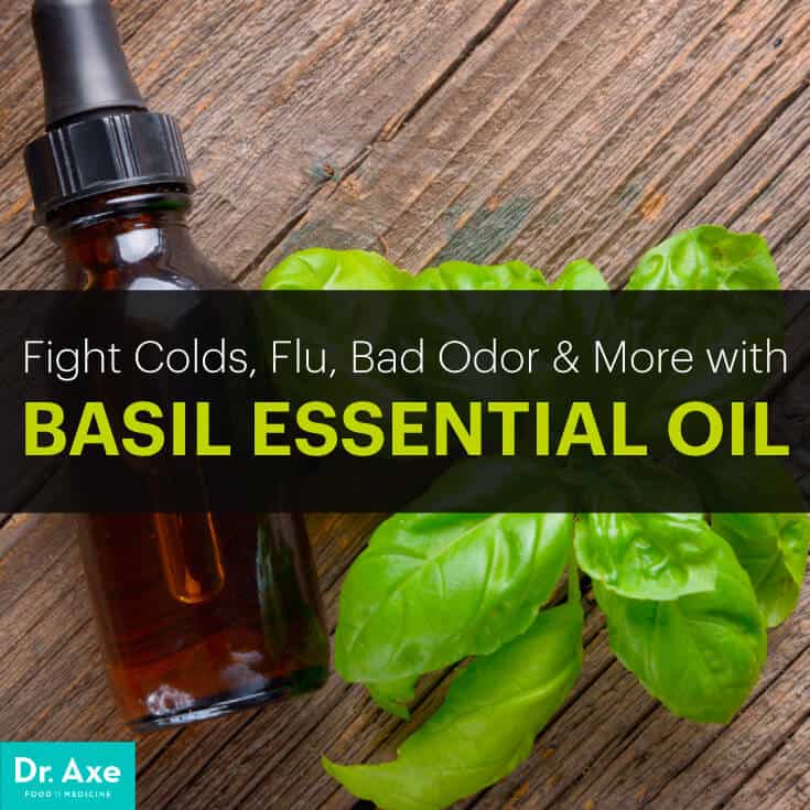 Basil Essential Oil Fights Bacteria, Colds & Bad Odor