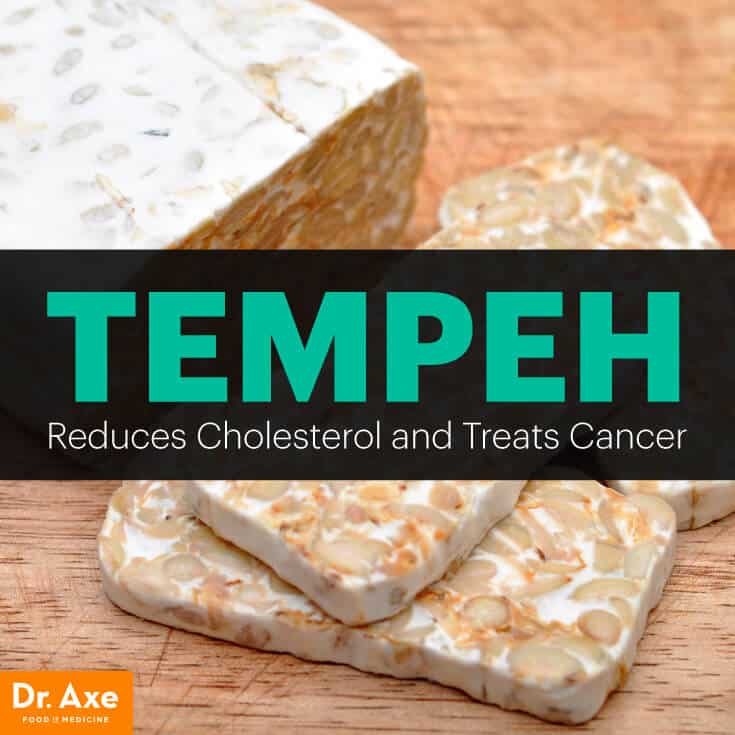Tempeh A Fermented Soybean with Many Probiotic Benefits Dr. Axe