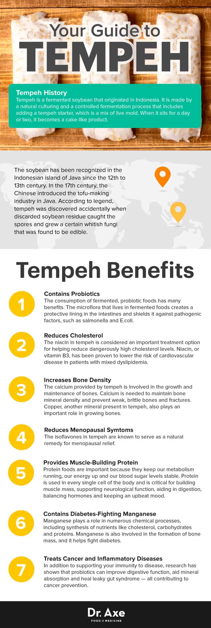 Tempeh A Fermented Soybean with Many Probiotic Benefits Dr. Axe