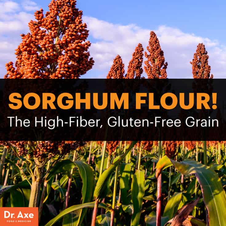 Flour Nutritional Value Besto Blog