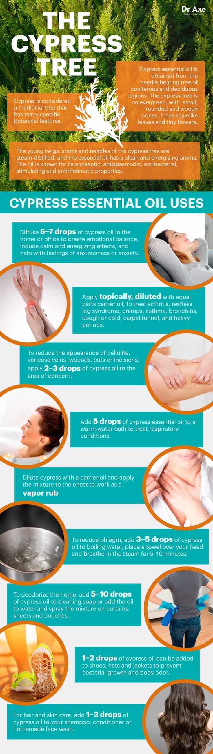 8 Surprising Benefits of Cypress Essential Oil Dr. Axe