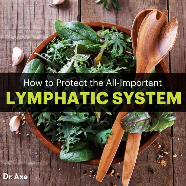 Lymphatic System How to Make It Strong & Effective Dr. Axe