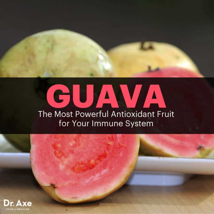 Guava Top Antioxidant Food for the Immune System Dr. Axe