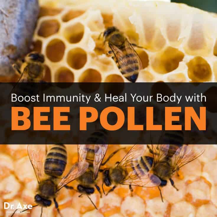 Top 8 Bee Pollen Benefits Dr. Axe