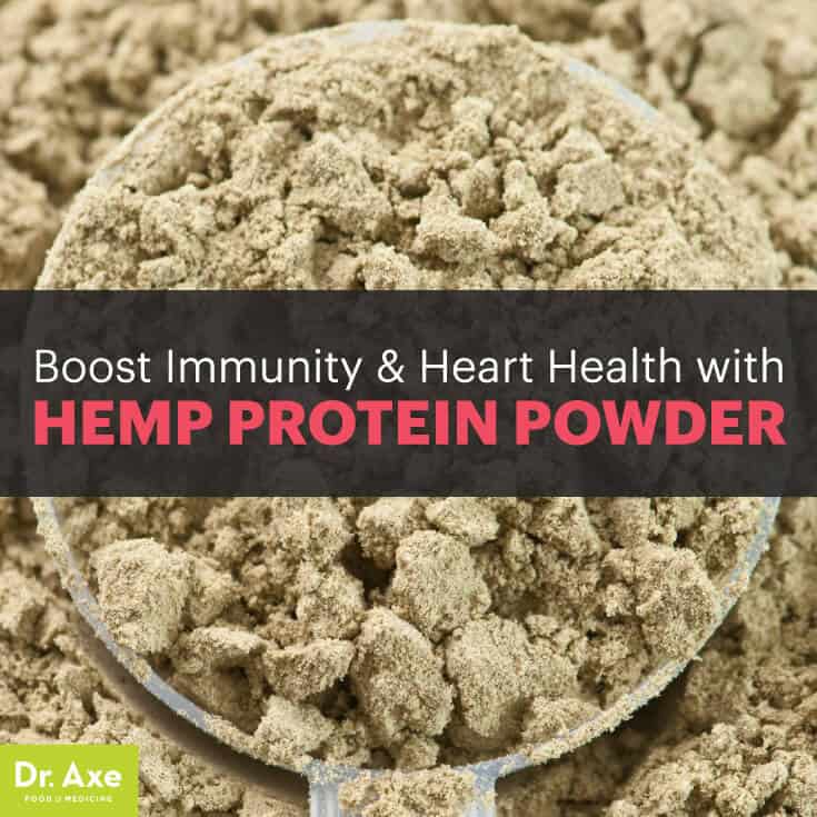 Hemp Protein Powder The Safest PlantBased Protein Option Dr. Axe