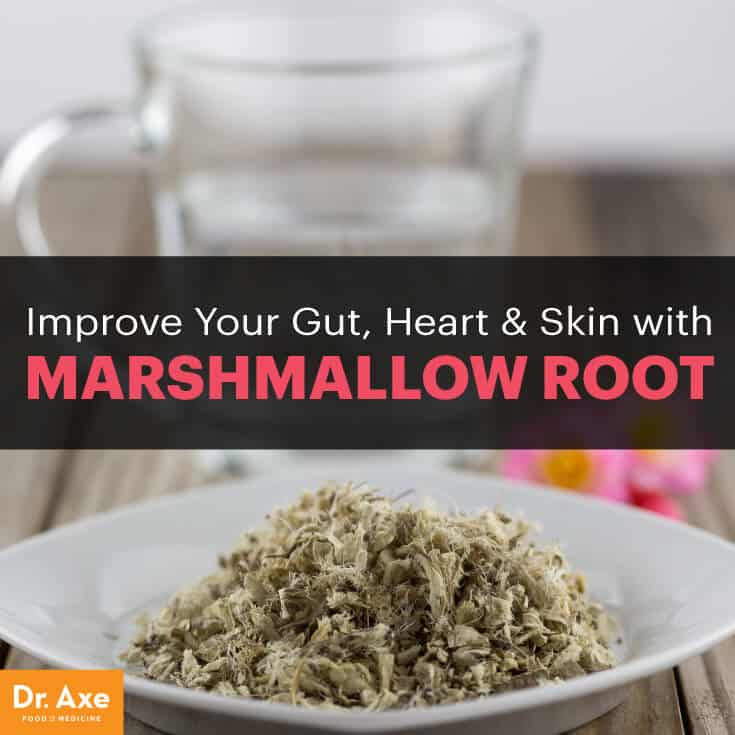 Slippery Elm And Marshmallow Root Tea Recipe Dandk Organizer
