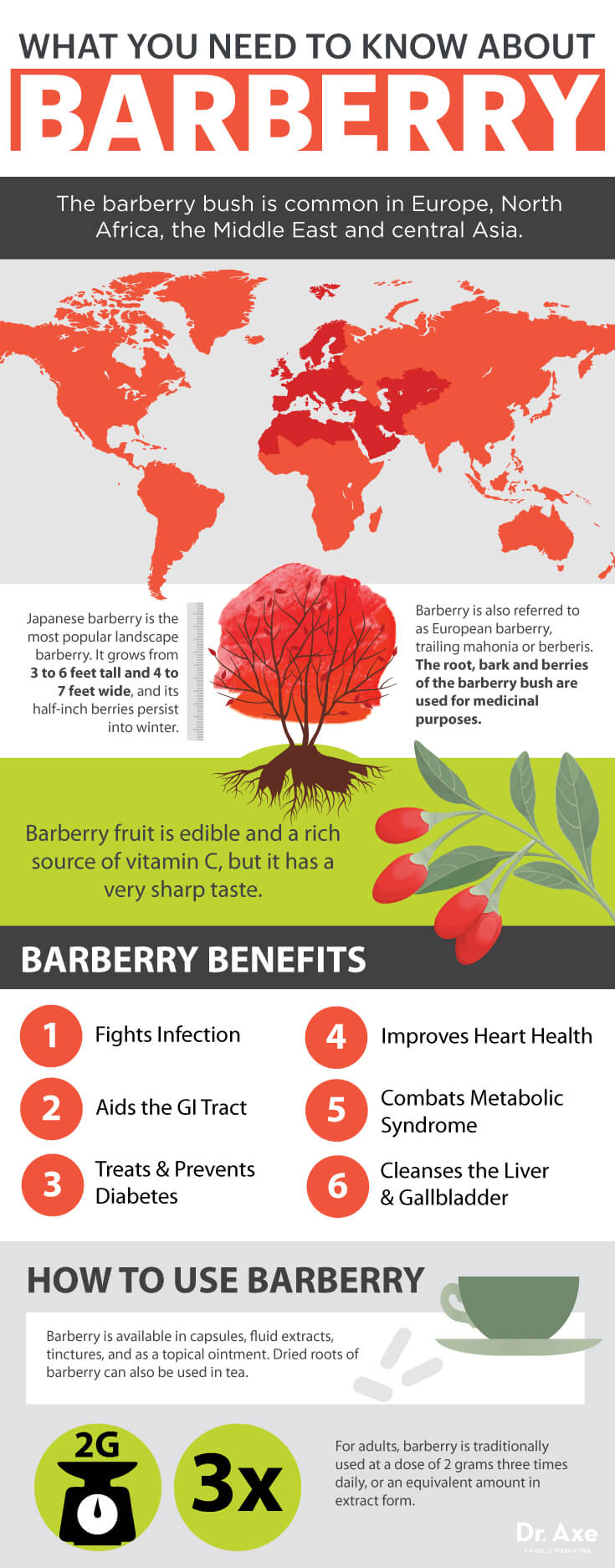 Barberry The HeartHealthy Herb that Cleanses Your Gut, Liver