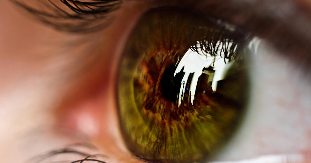 Bilberry Improves Eyesight, Decreases Inflammation Dr. Axe