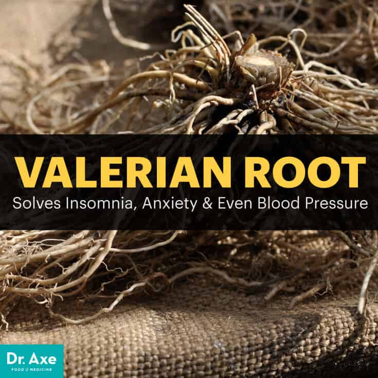 Valerian Root Solves Insomnia, Anxiety & Even Blood Pressure Dr. Axe