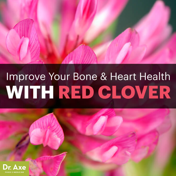 Red Clover Benefits for Menopause, Bone & Heart Health Dr. Axe