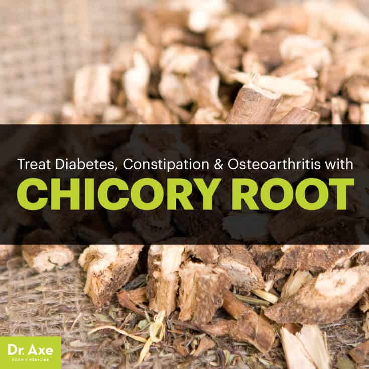 Chicory Root The Coffee Substitute that Treats Diabetes, Constipation