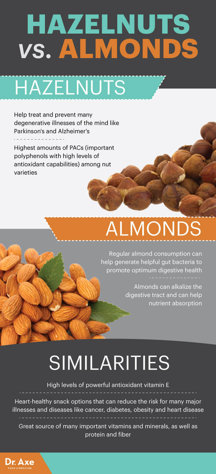 Hazelnuts 7 Benefits of These HeartHealthy, BrainBoosting Nuts