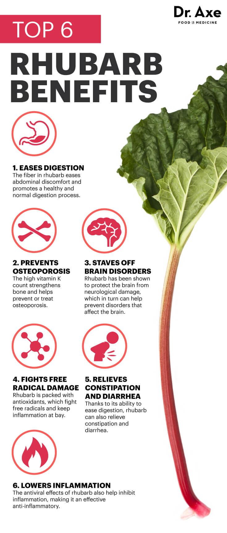 Rhubarb 6 Reasons to Eat Rhubarb for Your Health Dr. Axe