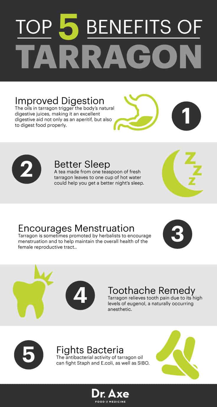 Tarragon The Herb that Aids Sleep and Fights Bacteria Dr. Axe