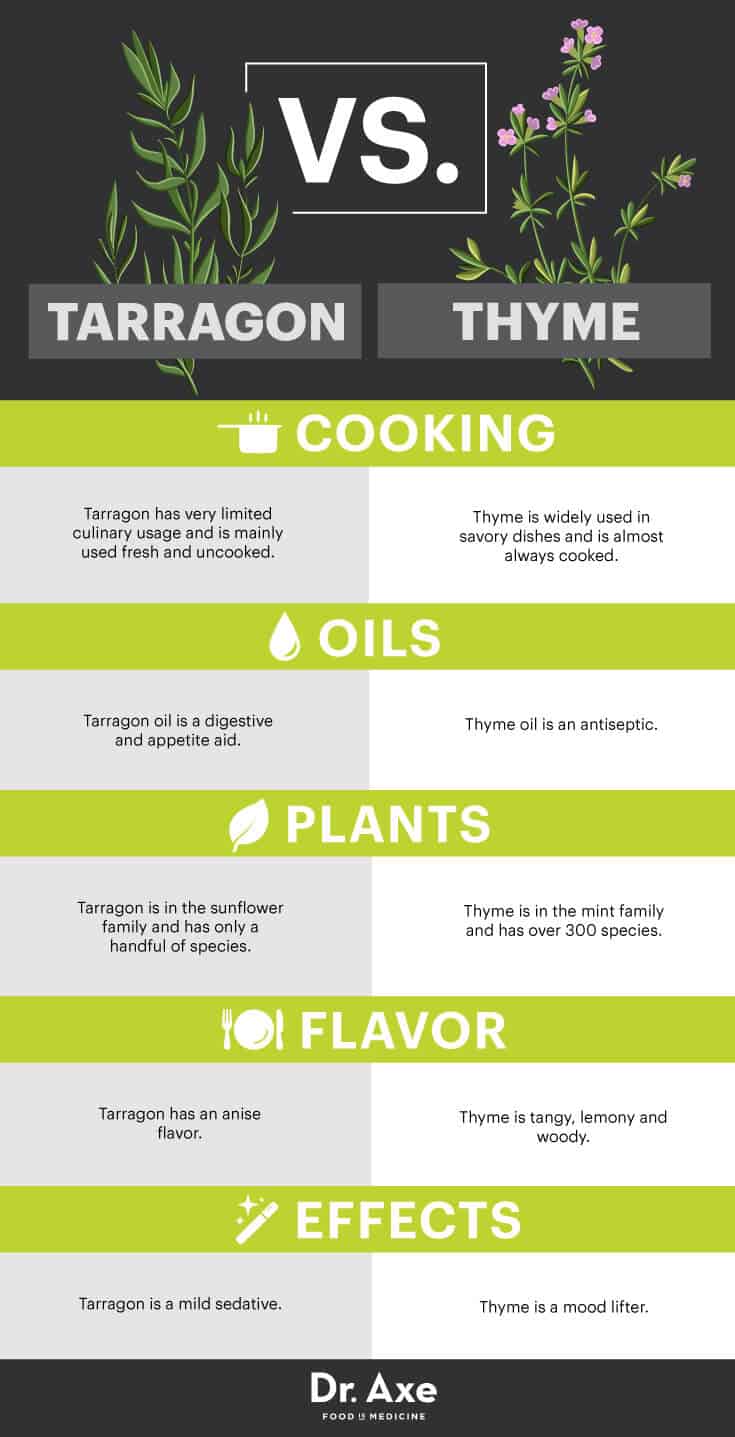 Tarragon The Herb that Aids Sleep and Fights Bacteria Dr. Axe
