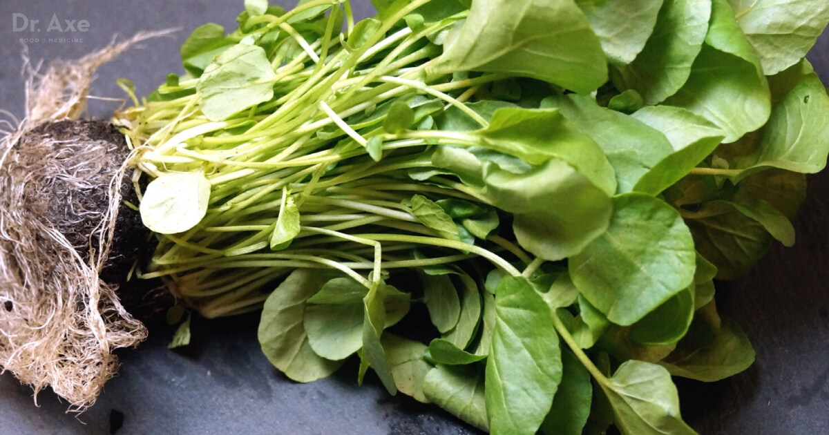 Watercress The Powerhouse that Fights Chronic Disease