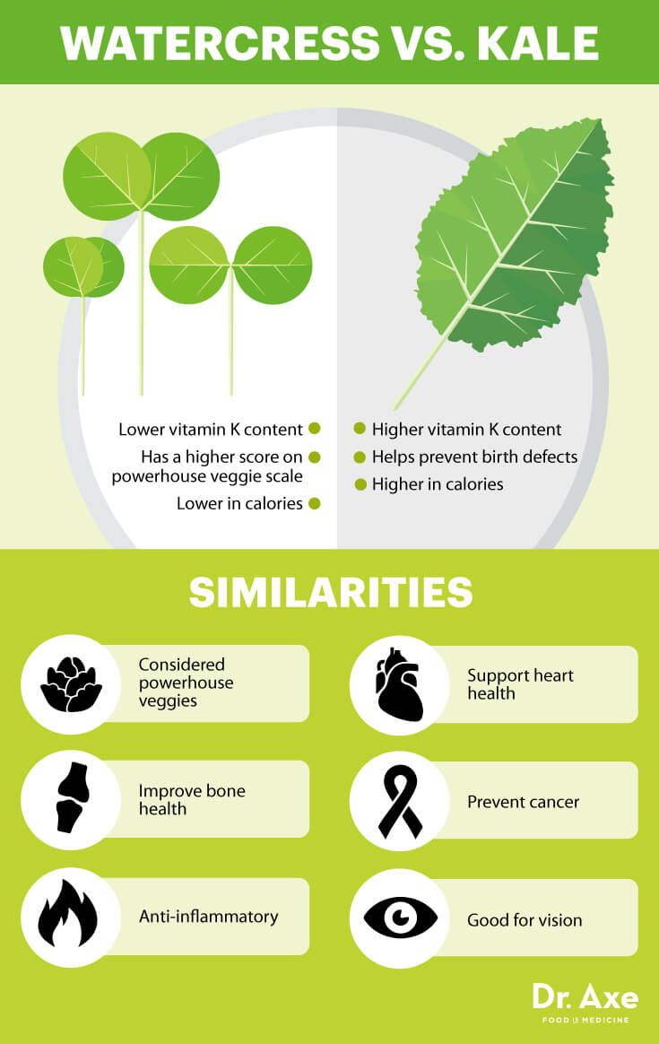 6 Major Benefits of Watercress the Powerhouse Vegetable Conscious