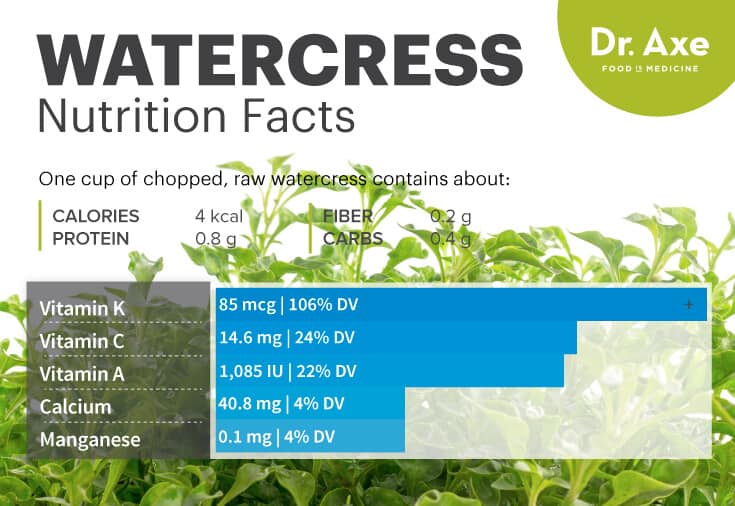 6 Major Benefits of Watercress the Powerhouse Vegetable Conscious