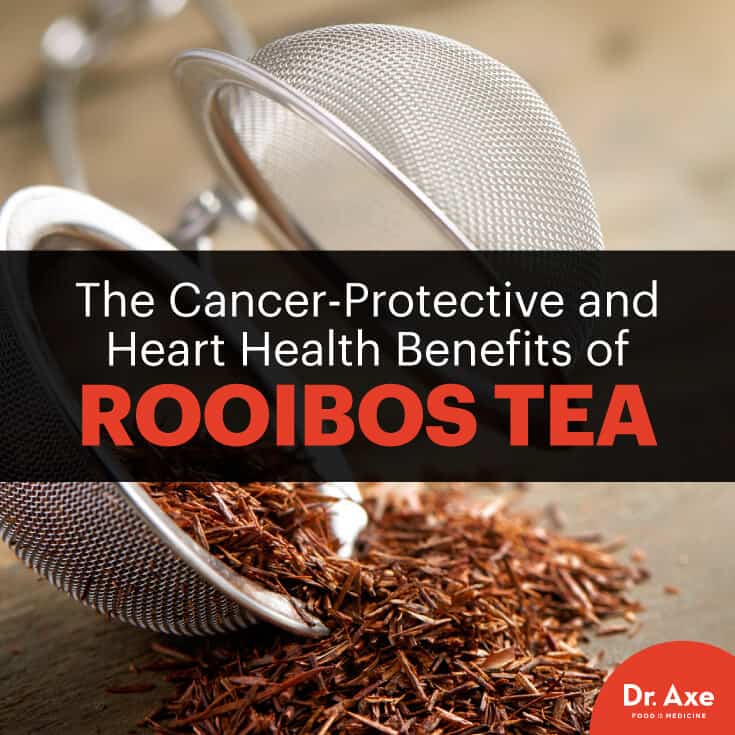 Rooibos Tea Health Benefits You Won't Believe Dr. Axe