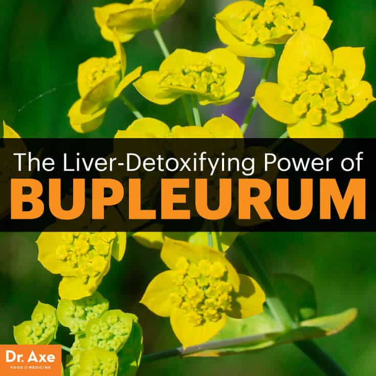 Bupleurum Benefits Boost Liver Health and Fight Cancer Dr. Axe
