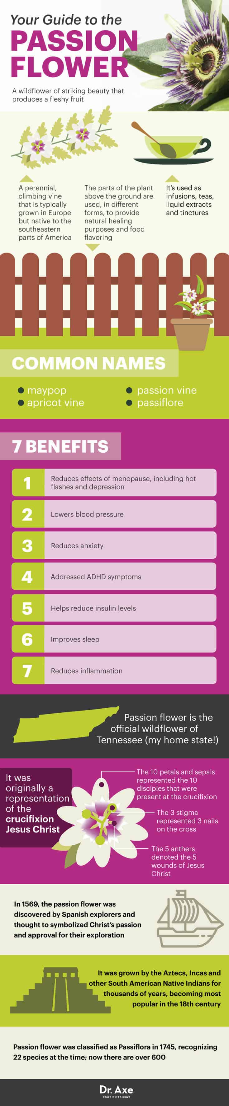 Passionflower Therapeutic Bodywork