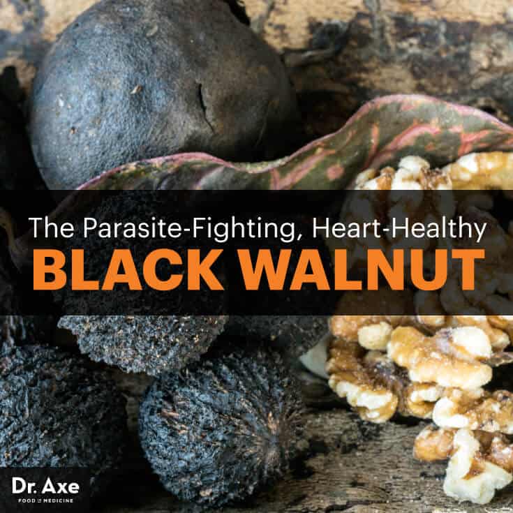 The Top Black Walnut Benefits, Uses & Nutrition Facts Dr. Axe