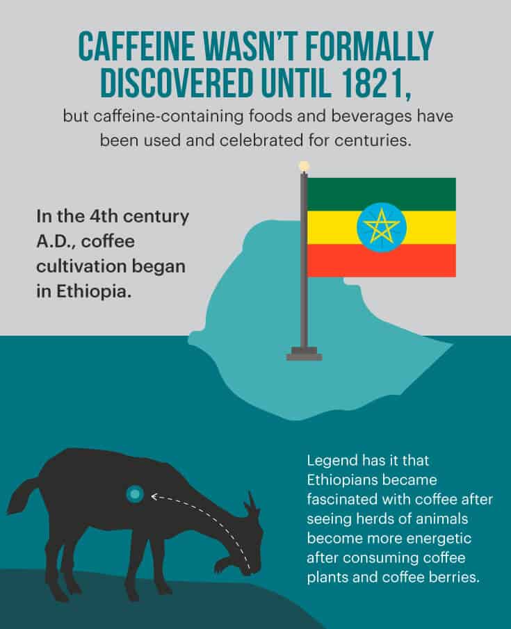 Two NutritionPacked Sources for Energy, Focus & Productivity in Your