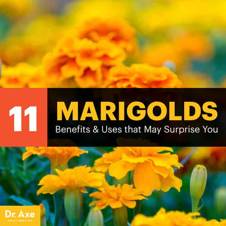 Top 11 Uses & Benefits of Marigolds, Including for the Skin, Eyes