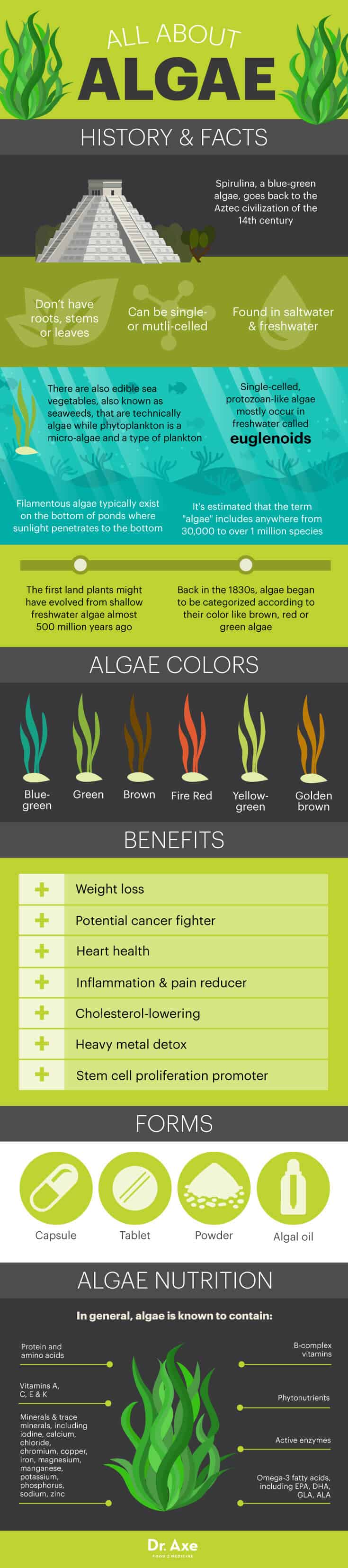 Top 7 Algae Benefits that May Surprise You Get Collagen Supplements