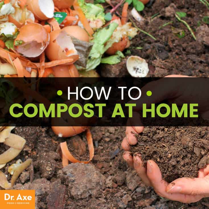 DIY Compost Simple Steps to Make Black Gold at Home