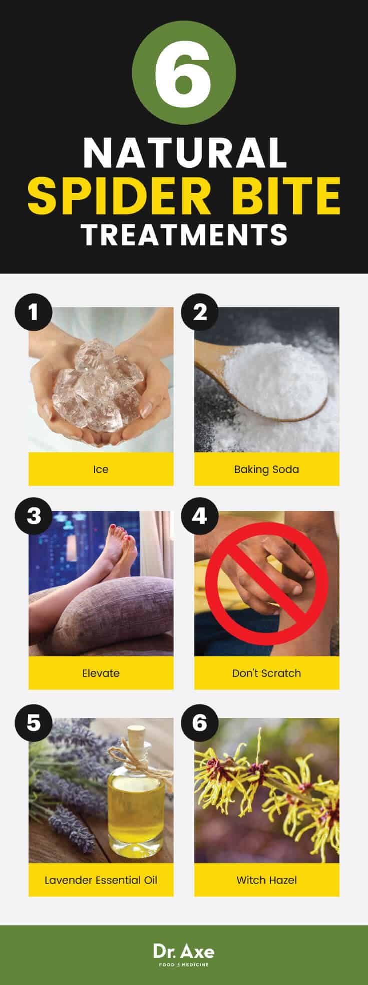 Spider Bite Symptoms + 6 Easy Natural Treatments Best Pure Essential Oils