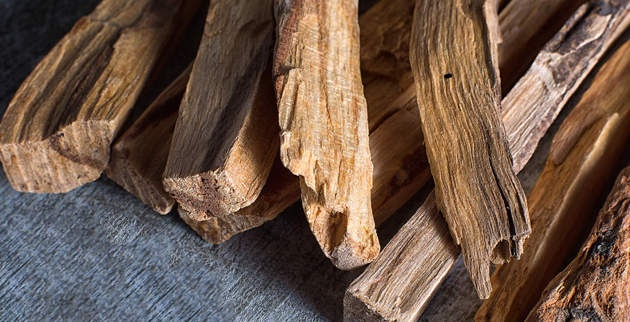 Palo Santo Benefits, Uses, Recipes and Side Effects Dr. Axe