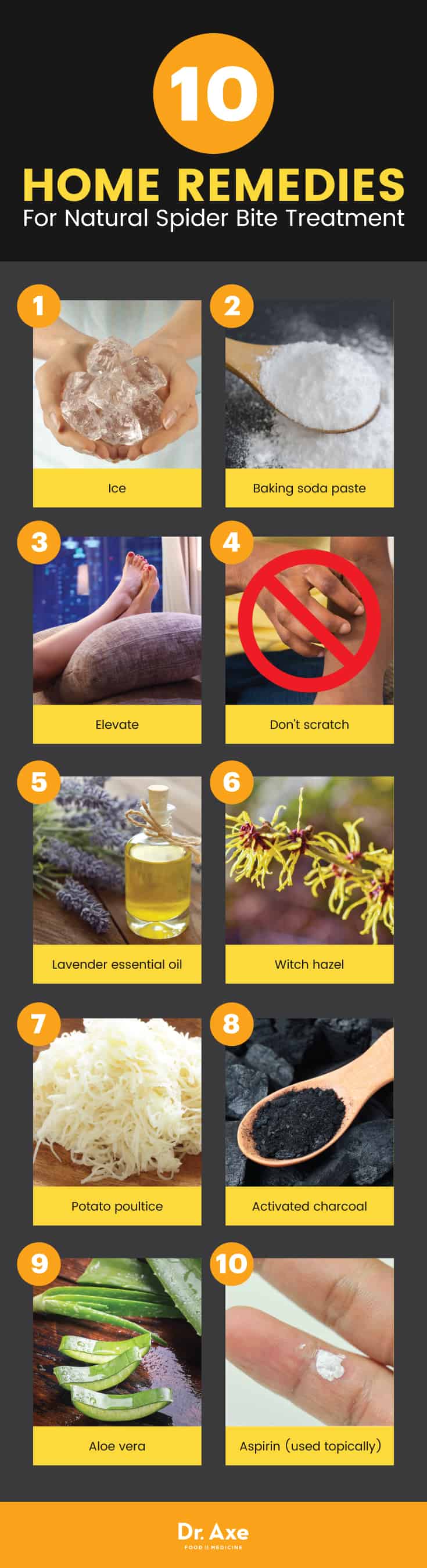 Natural Spider Bite Treatment 10 Easy Home Remedies Best Pure