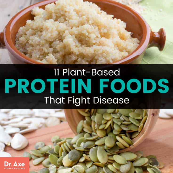11 Best PlantBased Protein Foods that Fight Disease & Boost Weight