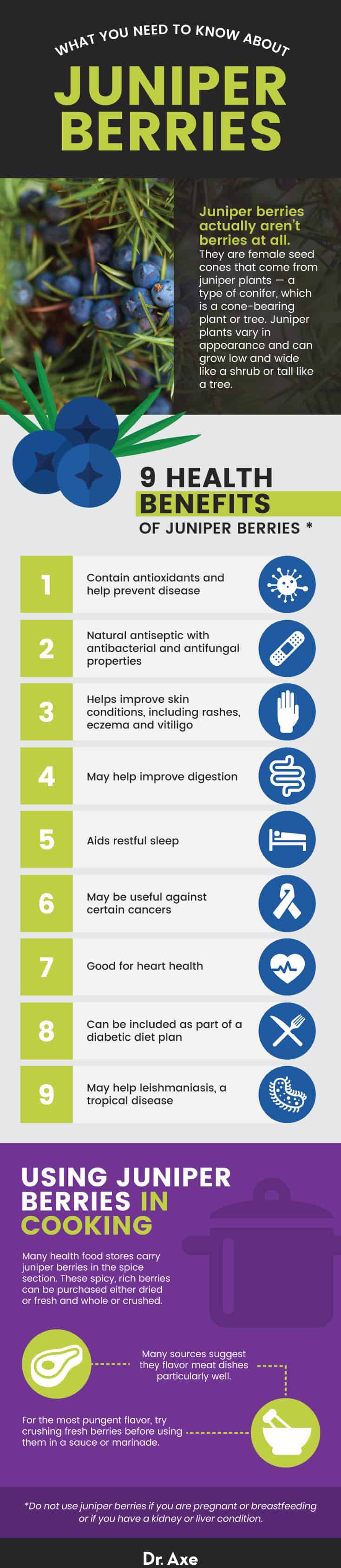 Juniper Berries Benefits, Uses, Side Effects and Interactions Dr. Axe