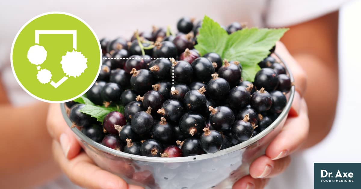 Black Currant Benefits, Nutrition, Uses, History and Recipes Dr. Axe