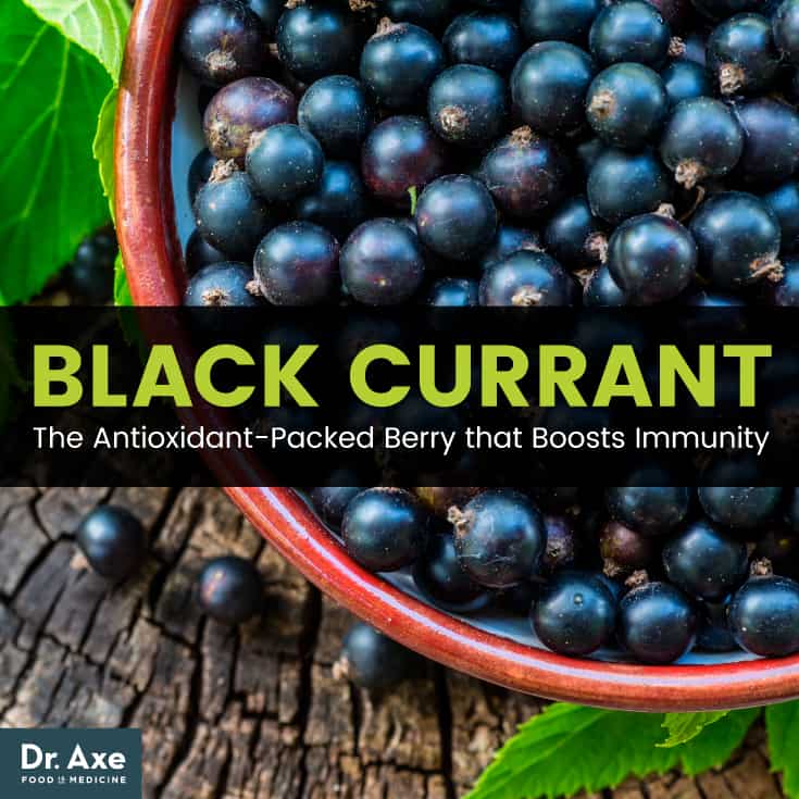 Black Currant The AntioxidantPacked Berry that Boosts Immunity Best