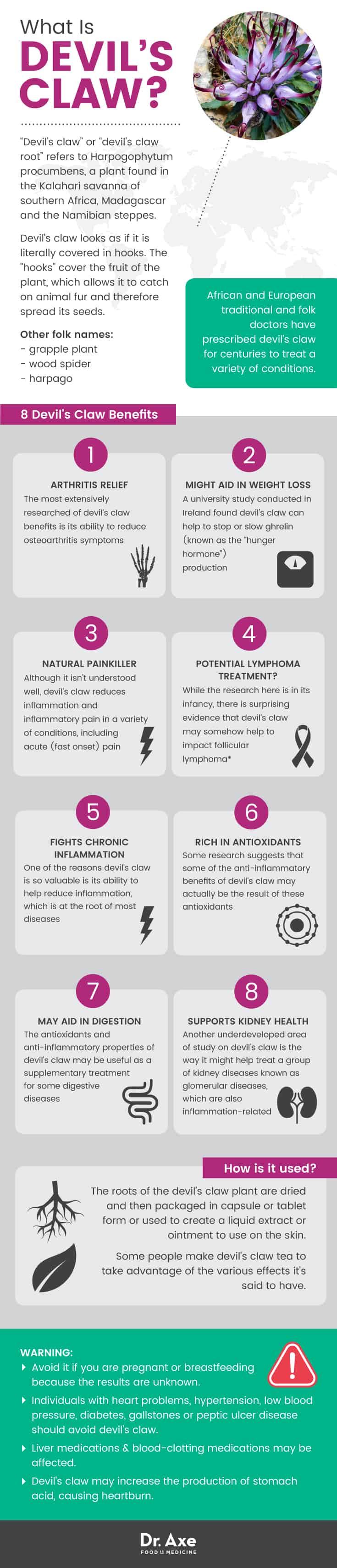 Devil's Claw Benefits Include Pain Relief & More Dr. Axe