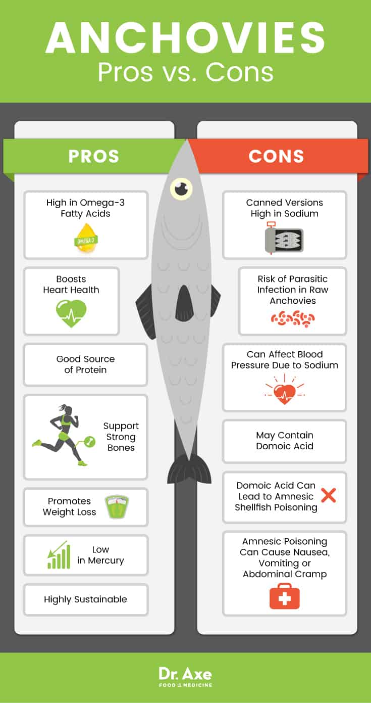 Anchovies The ProteinPacked, Omega3Rich Healthy Fish Best Pure