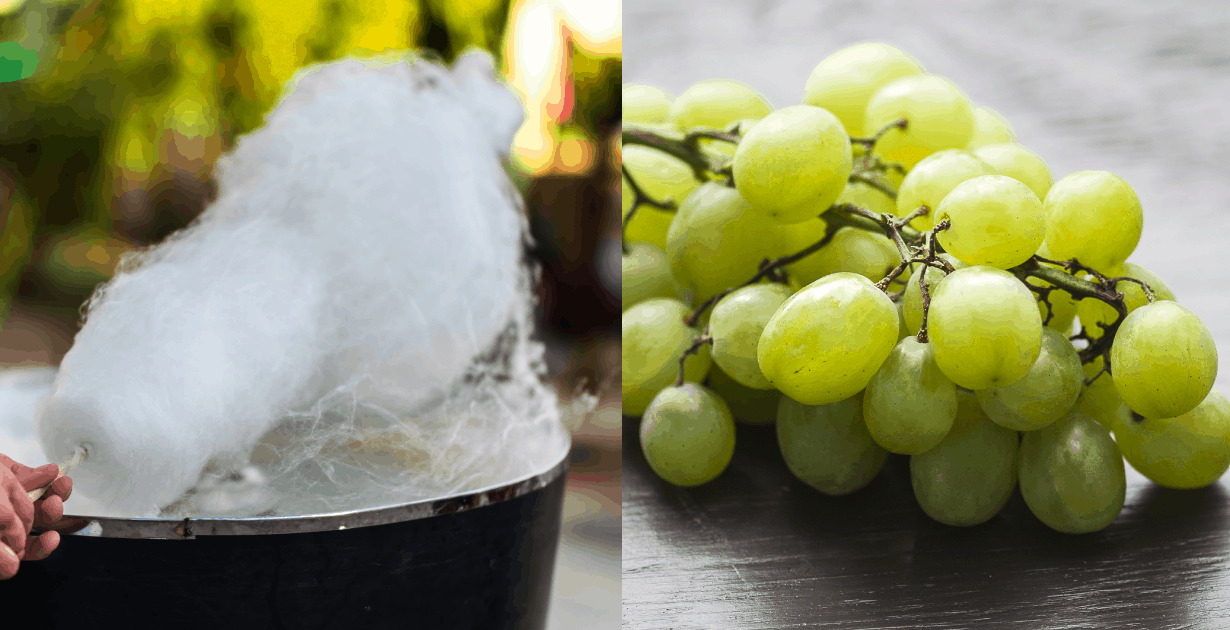 What Are Cotton Candy Grapes? Benefits, Nutrition, Uses, More Dr. Axe