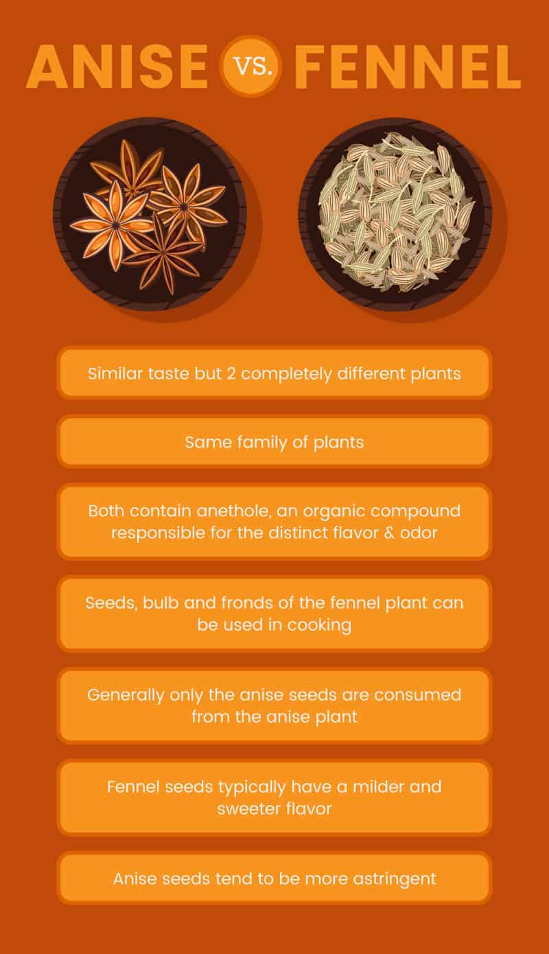 Anise Seed Benefits Blood Sugar & May Protect Against Ulcers Dr. Axe